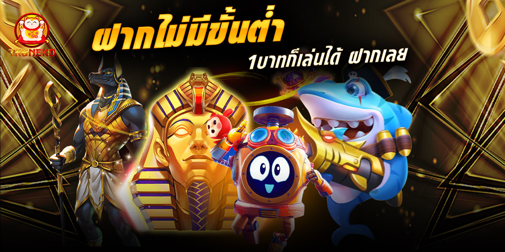 tkbneko เว็บสล็อต ยอดนิยมล่าสุด 2025 สล็อตแตกง่าย ได้เงินจริง เว็บสล็อต อันดับ1